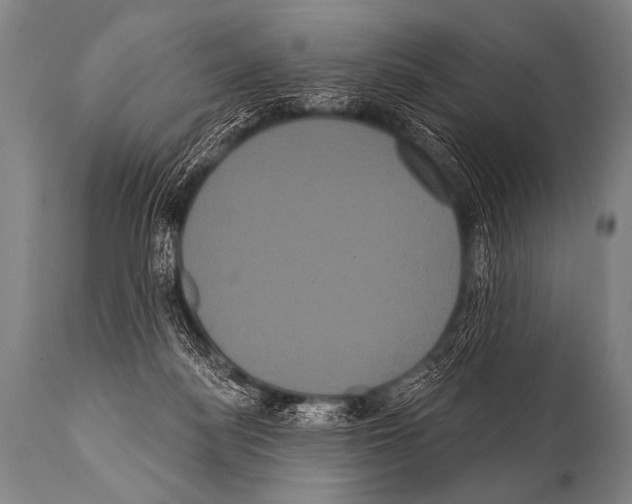 X0000112000172200909141110