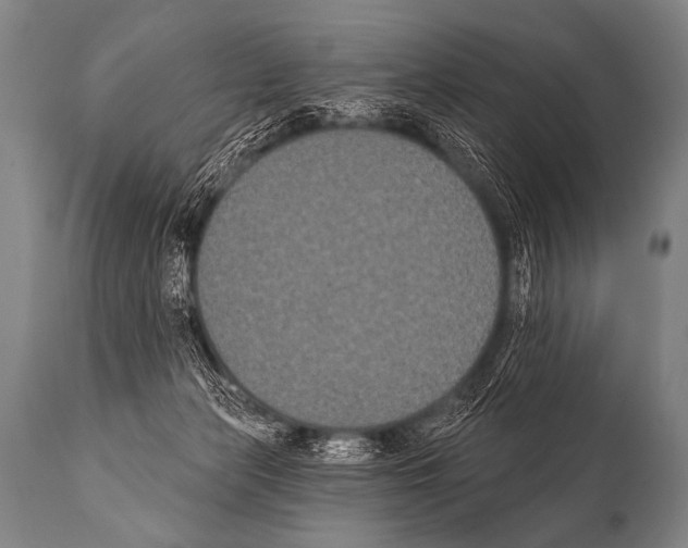 X0000112000173200909141110