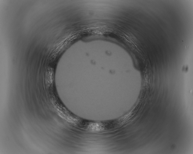 X0000112000174200909141110