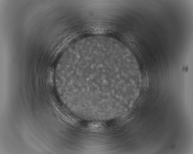 X0000112000175200909141110