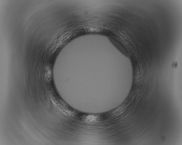 X0000112000176200909141110