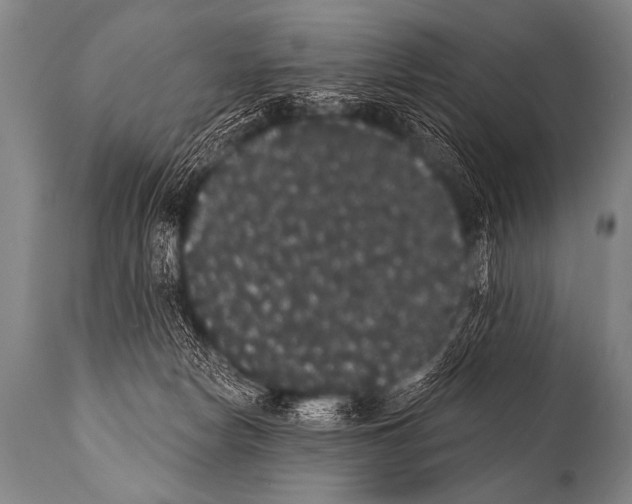 X0000112000178200909141110