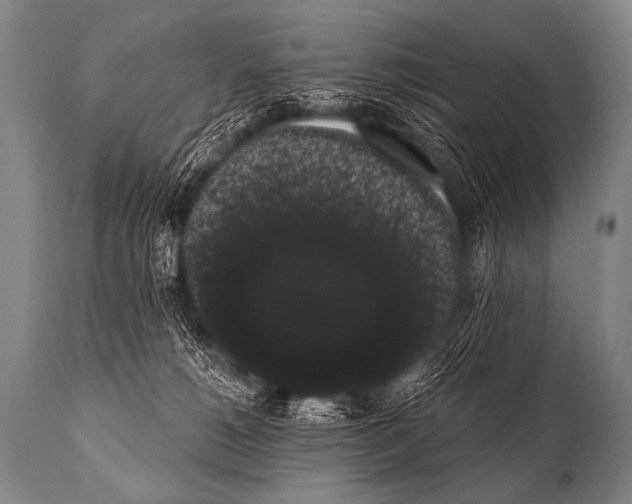 X0000112000180200909141110