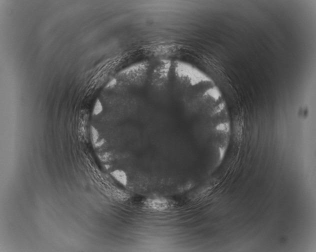 X0000112000181200909141110