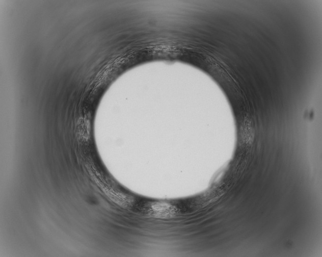 X0000112000183200909141110