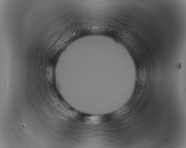 X0000112000184200909141110