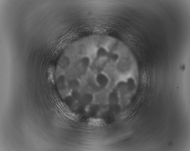 X0000112000185200909141110