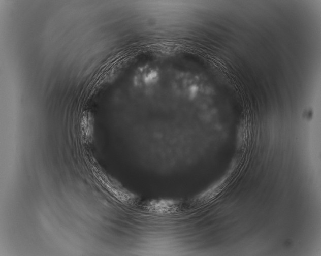 X0000112000186200909141110