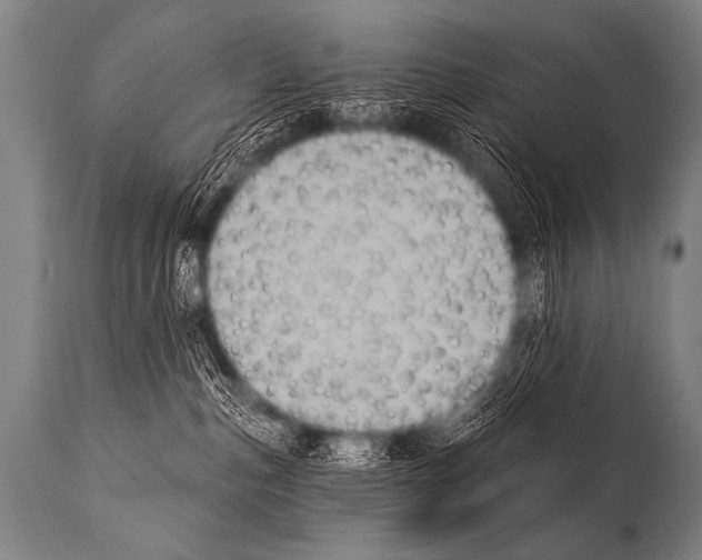 X0000112000187200909141110