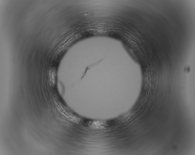 X0000112000188200909141110