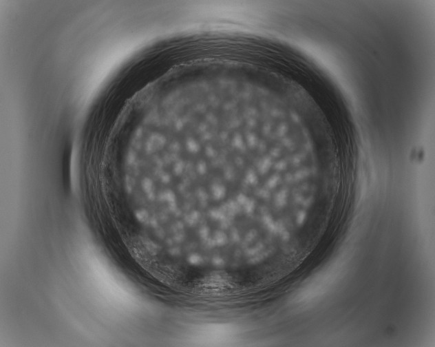 X0000112000189200909141110