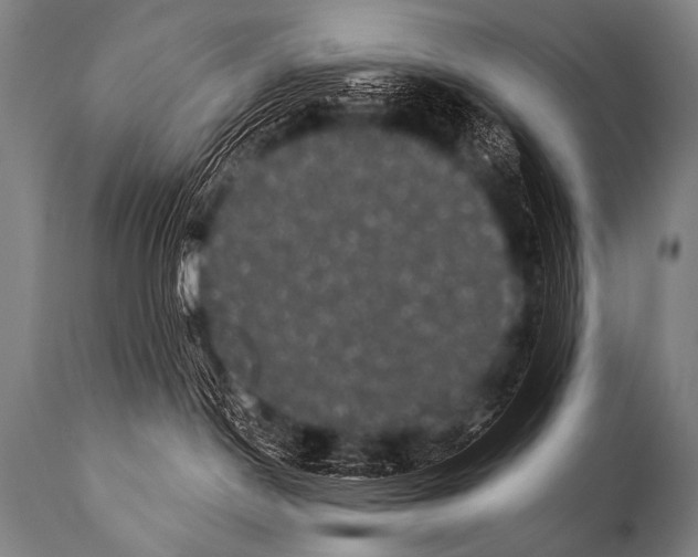 X0000112000190200909141110