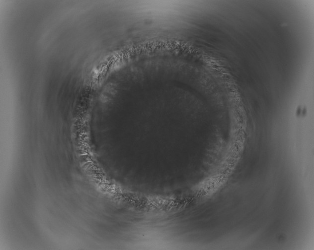 X0000112000192200909141110