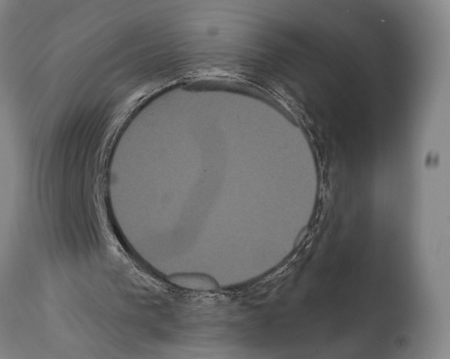 X0000112000193200909141110