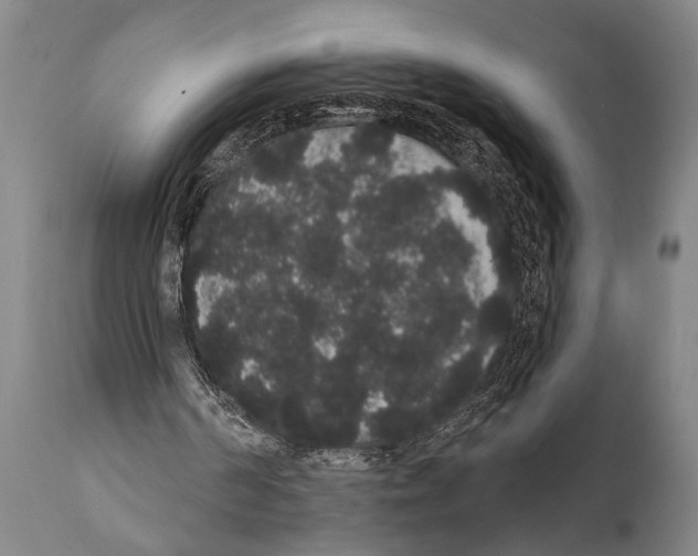 X0000112000194200909141110