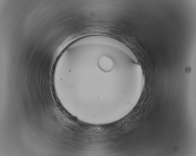 X0000112000195200909141110