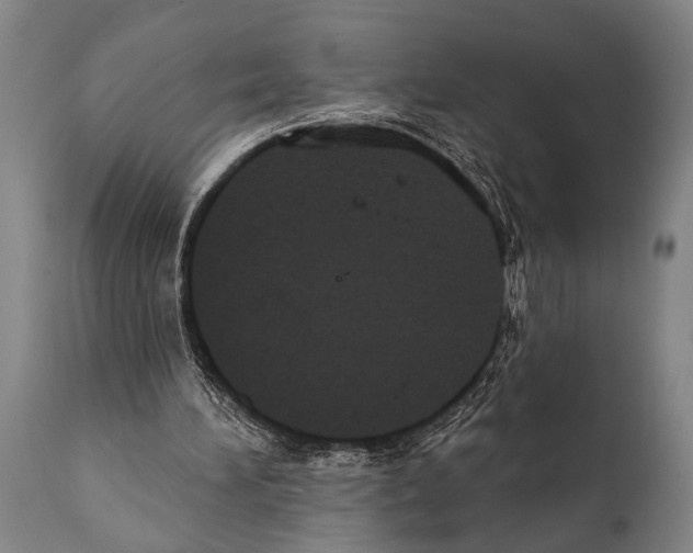 X0000112000196200909141110