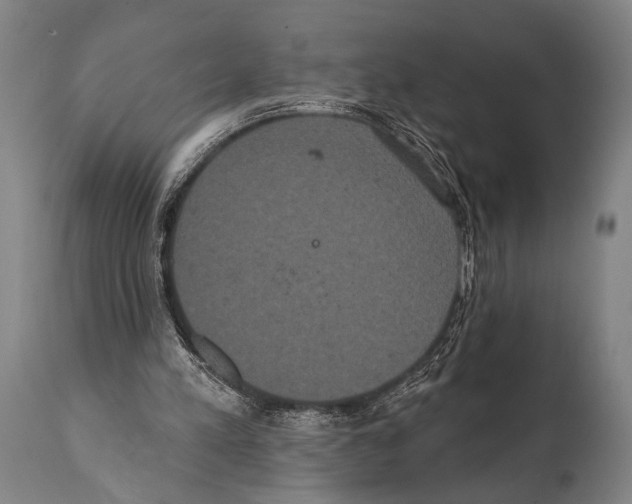 X0000112000197200909141110