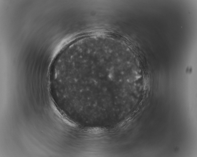 X0000112000198200909141110