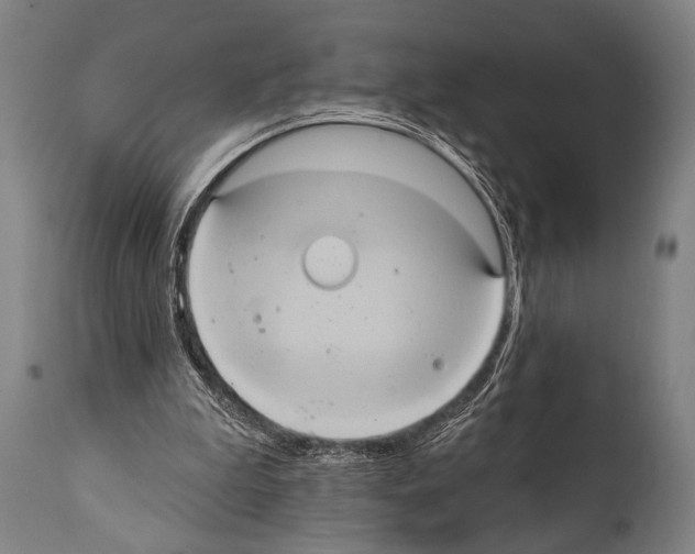 X0000112000199200909141110