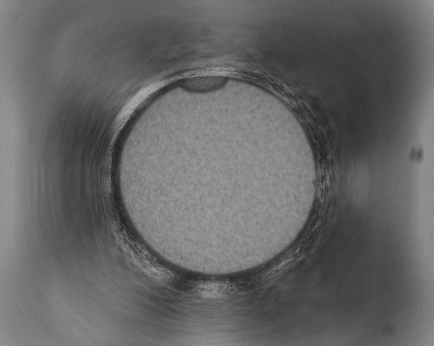 X0000112000200200909141110