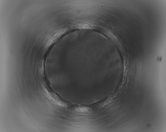 X0000112000202200909141109