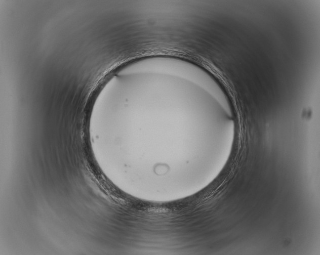 X0000112000203200909141109