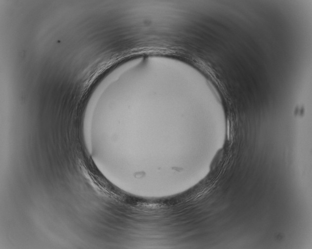 X0000112000205200909141109