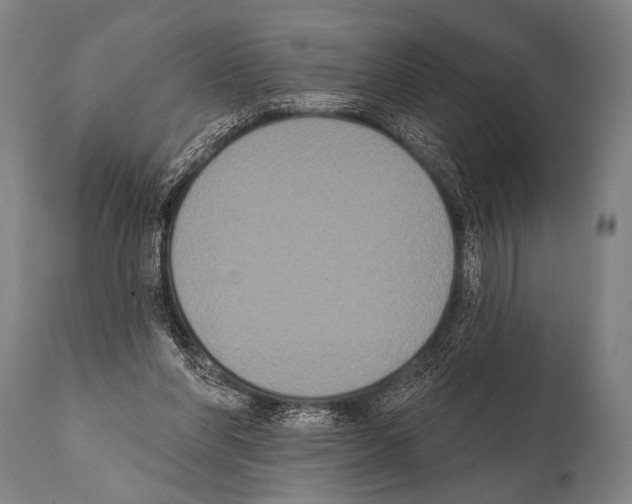 X0000112000206200909141109