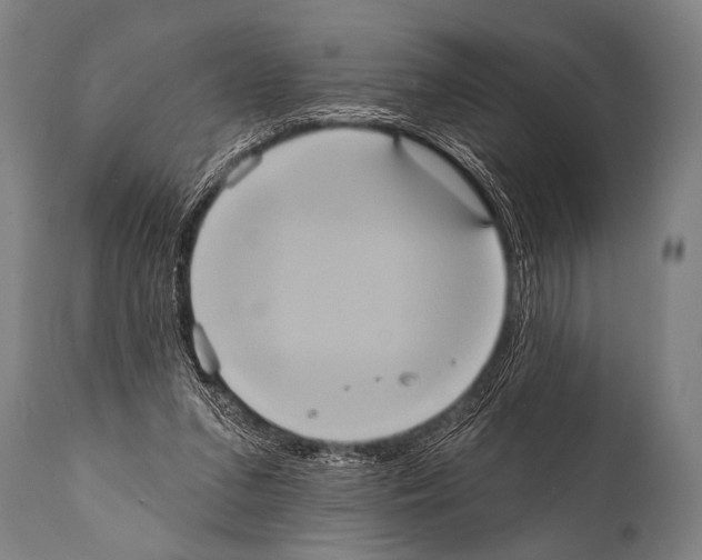 X0000112000207200909141109