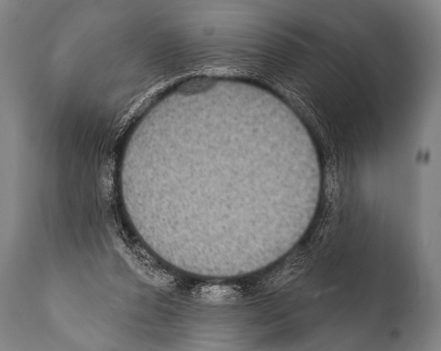 X0000112000208200909141109