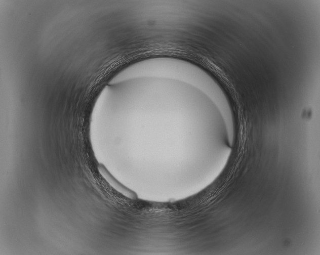 X0000112000209200909141109