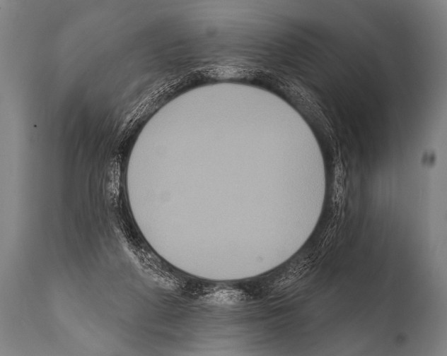 X0000112000210200909141109