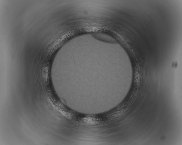 X0000112000211200909141109