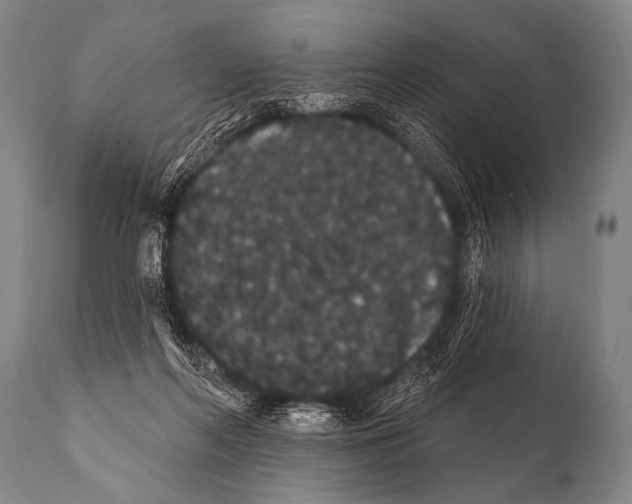 X0000112000214200909141109