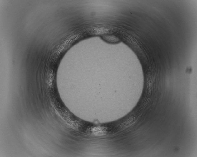 X0000112000216200909141109