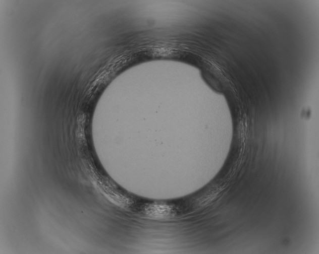 X0000112000217200909141109