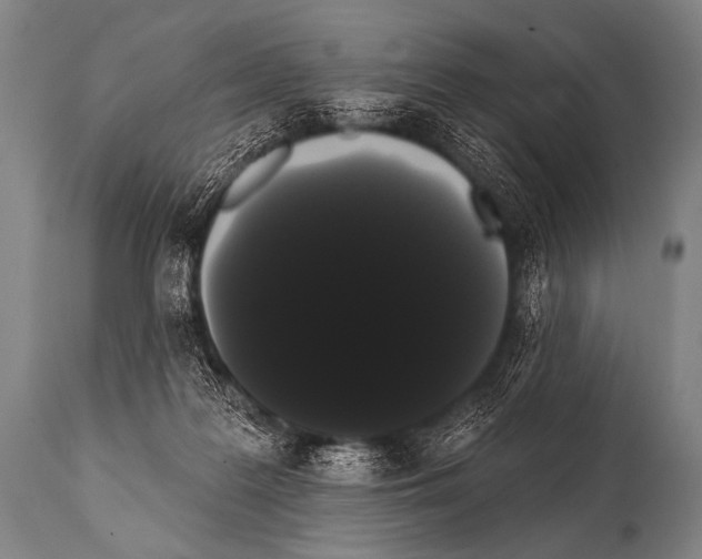 X0000112000219200909141109