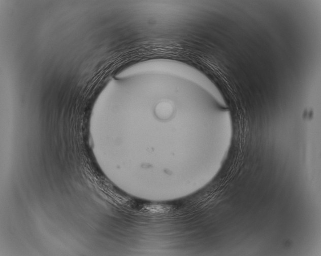 X0000112000221200909141109