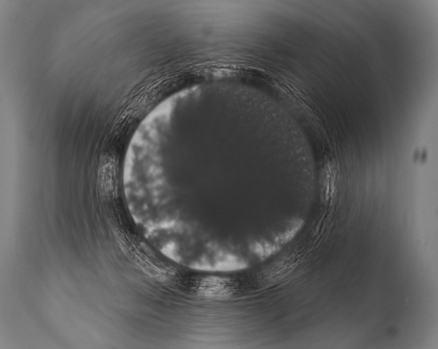 X0000112000222200909141109