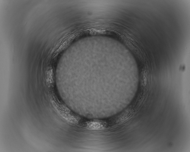 X0000112000224200909141109