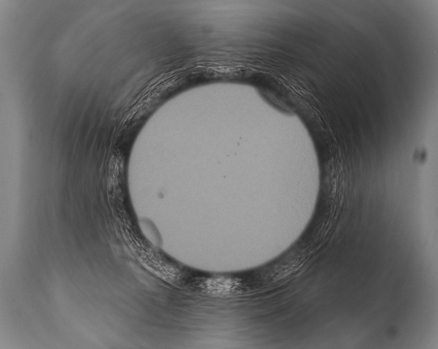 X0000112000225200909141109