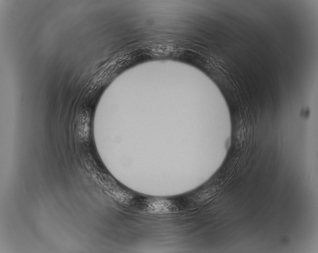 X0000112000226200909141109