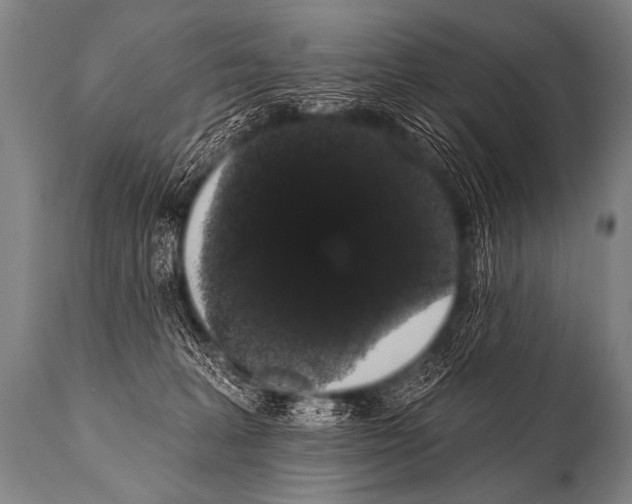 X0000112000227200909141109