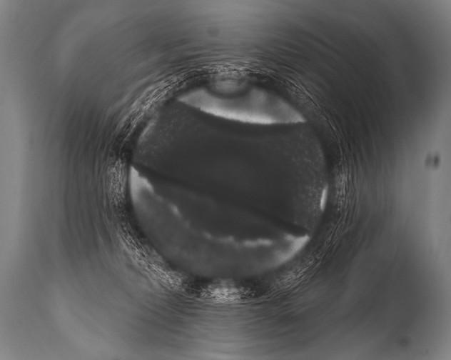 X0000112000228200909141109