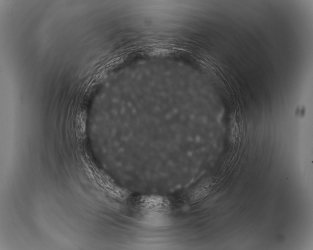 X0000112000230200909141109