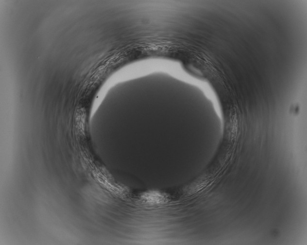 X0000112000231200909141109