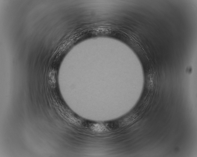 X0000112000232200909141109