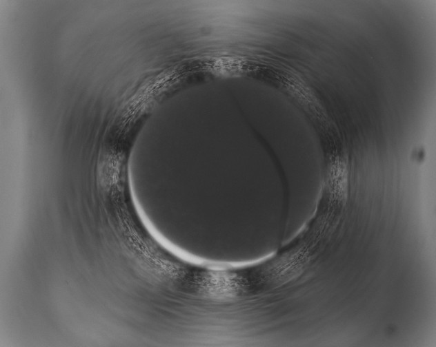 X0000112000233200909141109