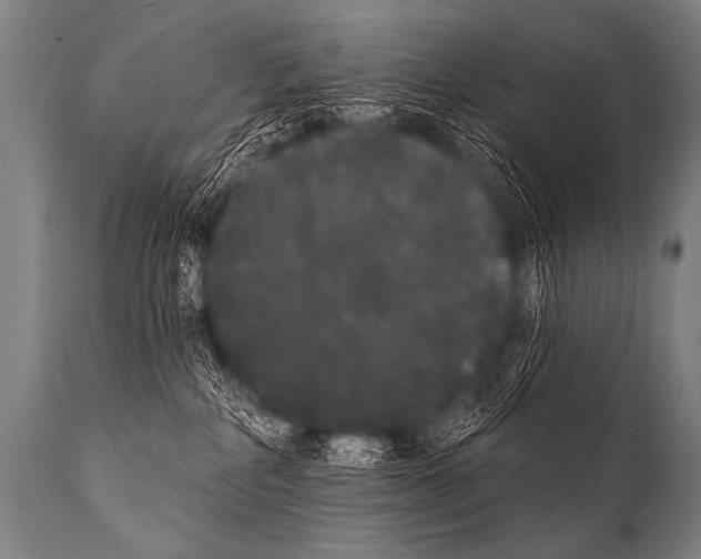 X0000112000234200909141109